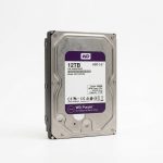 هارد اکسترنال وسترن دیجیتال 12 ترابایت بنفش